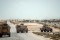 5 Tentara Mesir Tewas Dalam Serangan Islamic State Di Semenanjung Sinai
